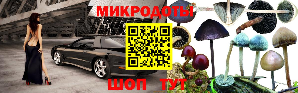Псилоцибиновые грибы Корсаков